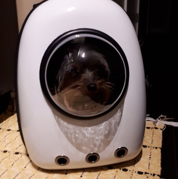 Meet your Posher, Yoshiko - Picture 3 of 5